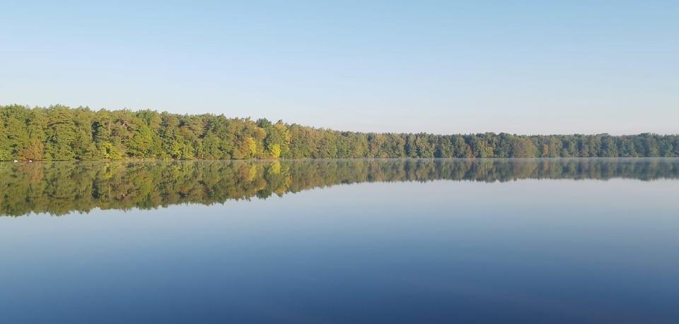 gepflegte Villa mit eig. Seezugang, Steg, Gästehaus, Sauna, Designmobiliar nahe Berlin – Bild 28