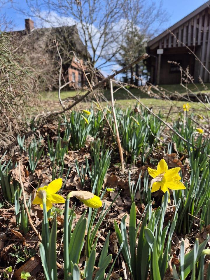 Weide, Wald und Wintergarten - Ein Traumhaus unterm Reetdach – Bild 10