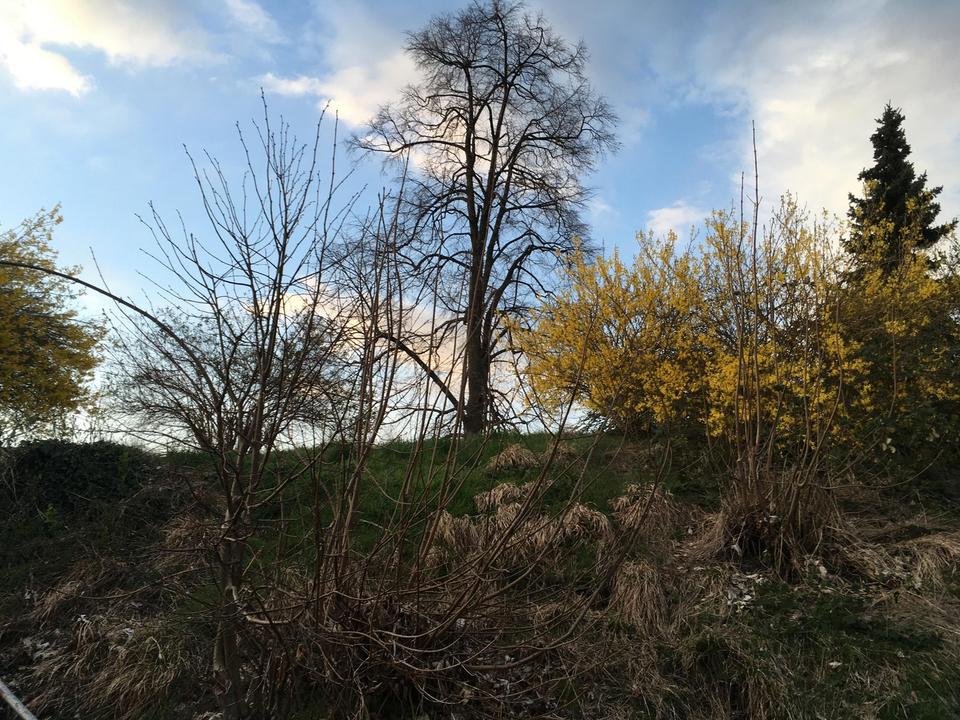 Grundstück mit traumhafter Bergsicht bebaut mit stilechtem 50 ziger Jahre Haus, Privat ohne Makler – Bild 6