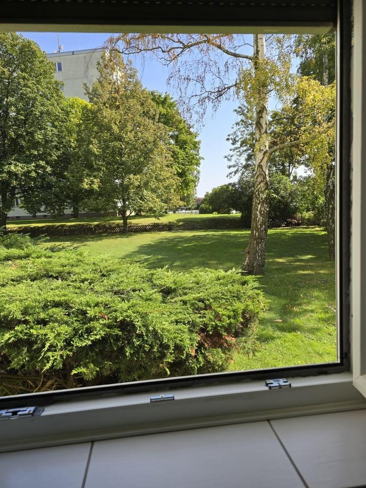 helle und großzügige EG-Wohnung in grüner Umgebung im Herzen von Wolfenbüttel – Bild 13