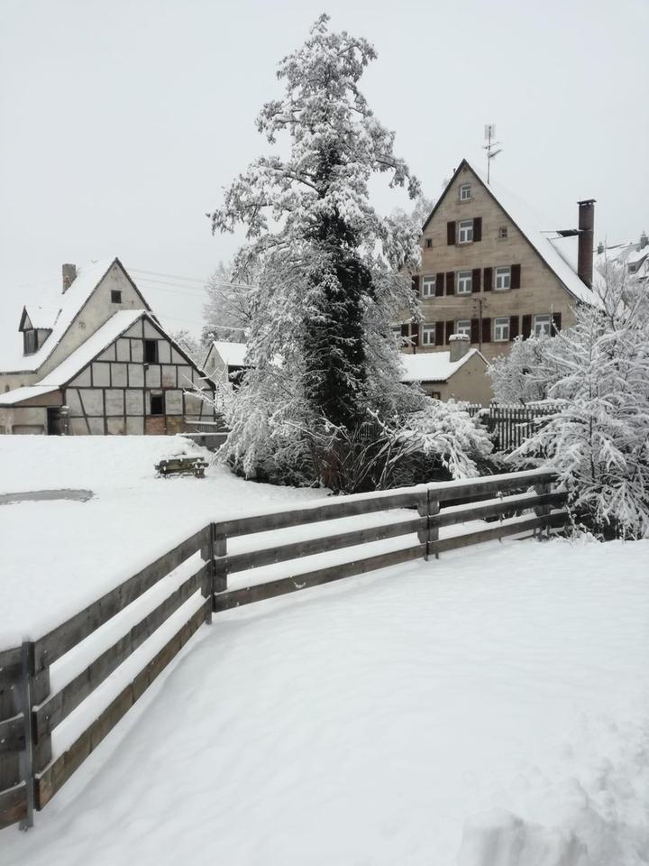 Haus - Mühle - Bauernhaus - einzigartig Wohnen in ländlicher Idylle – Bild 32