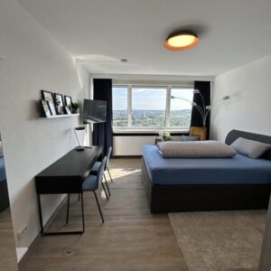 Vollmöbliertes 1-Zimmer Apartment mit Ausblick im SI-Centrum, 2023 Saniert, ab Juni verfügbar