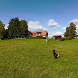 Einmalige Doppelhaushälfte inmitten des Naturschutzes