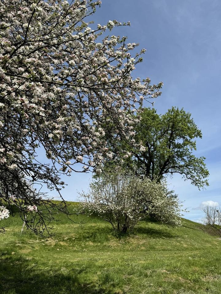 Besonderes Anwesen in Alleinlage mit Bergsicht – voll erschlossen, sofort rentabel, erweiterbar – Bild 22
