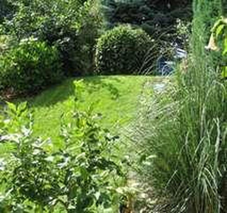 Großes Haus in bester, kinderfreundlicher Wohnlage – Bild 3