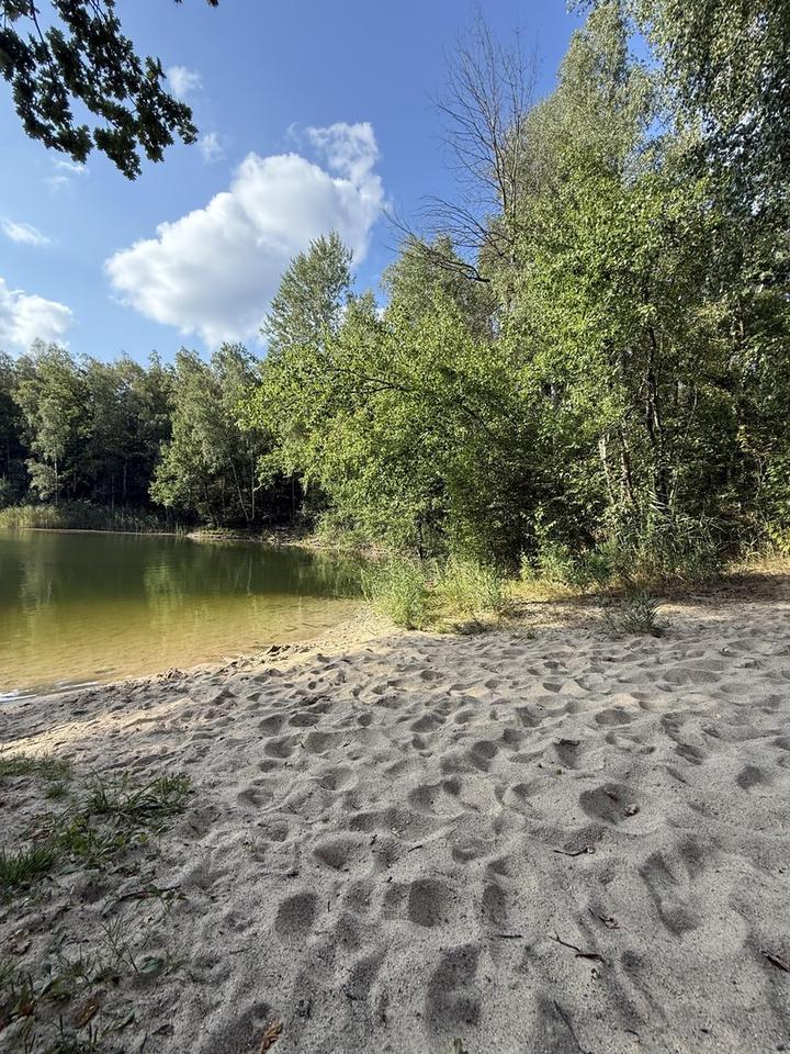 Waldidylle mit Veranda, Badezuber & Glasfaser - sofort nutzbar – Bild 39