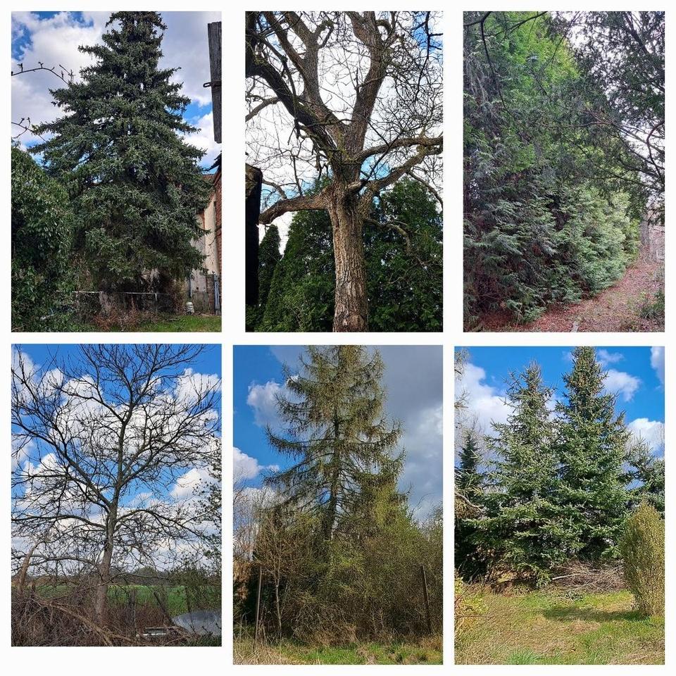 Großzügiges Arial nahe Berlin mit Entwicklungspotential - teilbar & ideal für Bauträger, Investoren – Bild 8