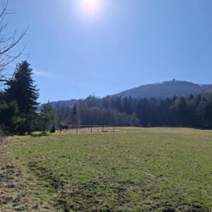 Wohnen wo andere abschalten-Haus mit Blick auf die Lausche in traumhafter Naturlage