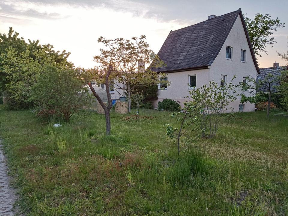 Haus mit Einliegerwohnung voll unterkellert in Wesendorf – Bild 15