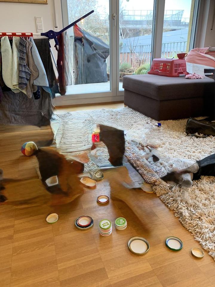 4,5 Zimmerwohnung Berlin Lichterfelde-West – Bild 8