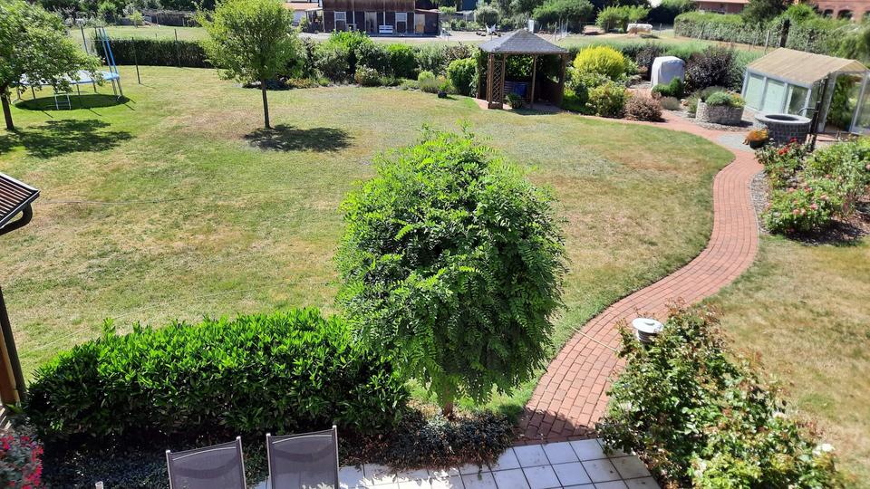 Haus in einem Weserdorf zu verkaufen – Bild 8