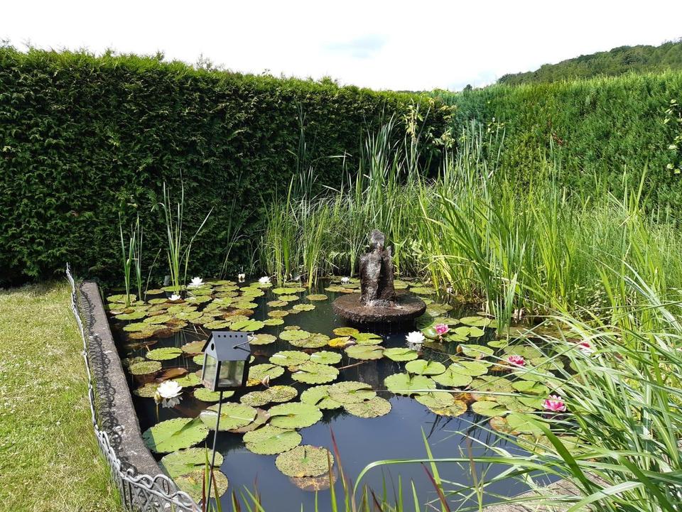 Großzügiges Einfamilienhaus mit Einliegerwohnung in toller Lage – Bild 16