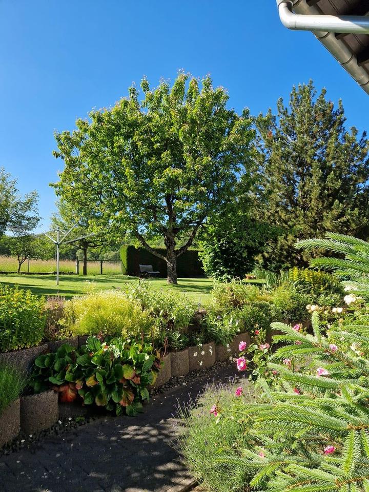 Großzügiges Einfamilienhaus mit Einliegerwohnung in toller Lage – Bild 13