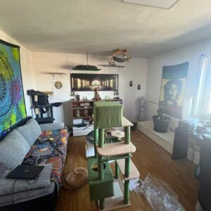 PROVISIONSFREI - 1-Zimmerwohnung zu verkaufen