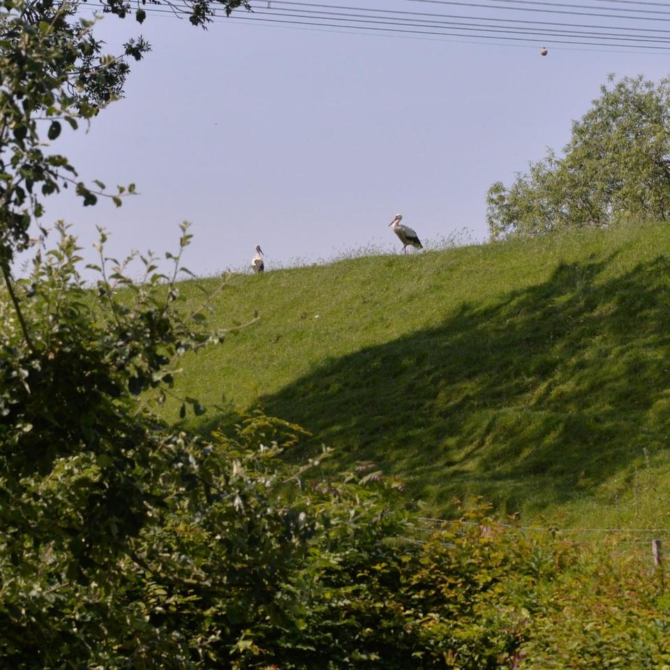 Ökologisch gebautes Holzhaus mit großem Nebengebäude – Bild 12