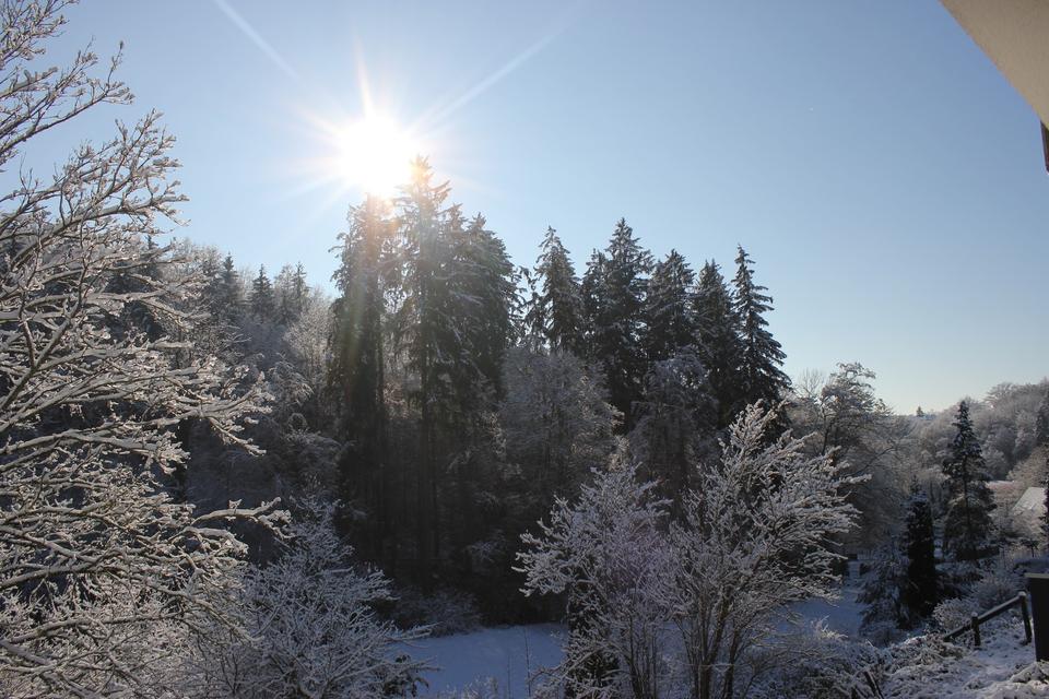 Möblierte 1.5-Zi-Wo mit Balkon und Garten – Bild 11