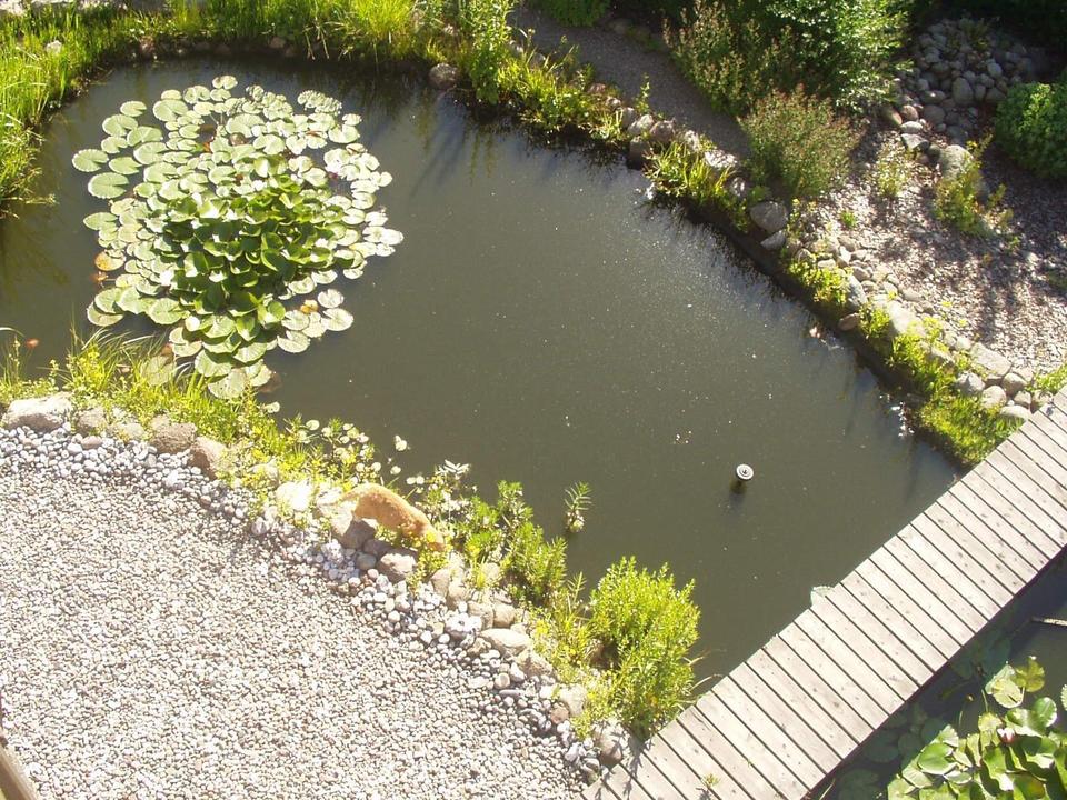 Galerieholländer-Mühle in Vorpommern - Liebhaberobjekt – Bild 5