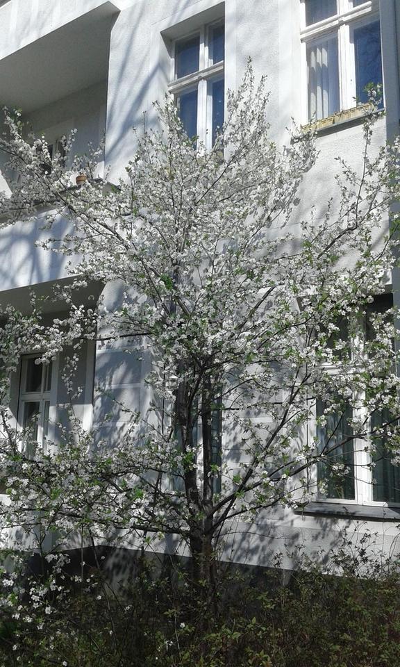 Lichtdurchflutete, vollausgestattete ETW mit 4 Schlafzimmern – Bild 10