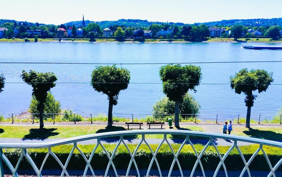 Panorama-Rheinblick / Excl. Wohnung in denkmalgeschützter Villa – Bild 10