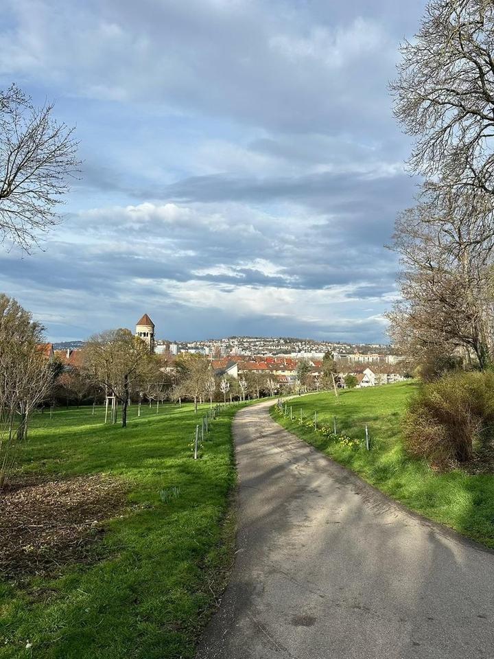 Lichtdurchflutete 3,5-Zimmer-Wohnung mit Panoramablick – teilmöbliert möglich – Bild 12
