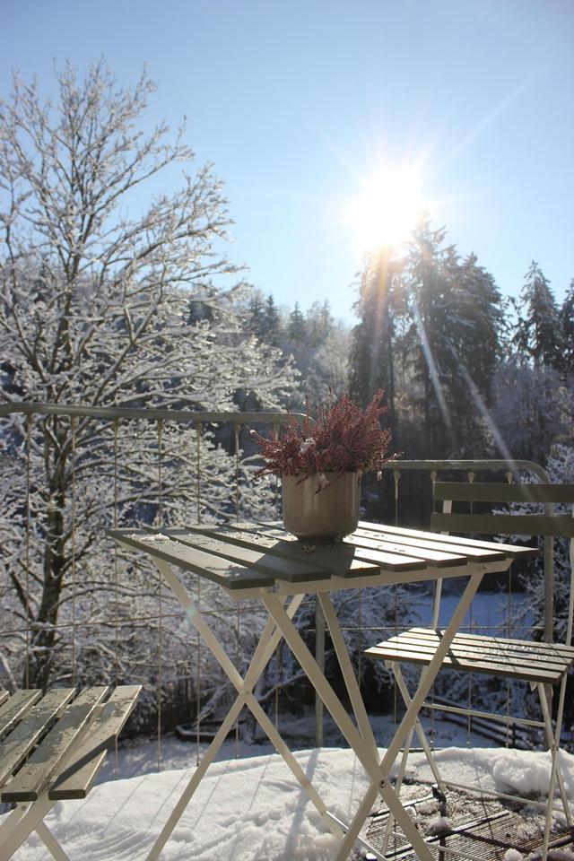 Möblierte 1.5-Zi-Wo mit Balkon und Garten – Bild 8