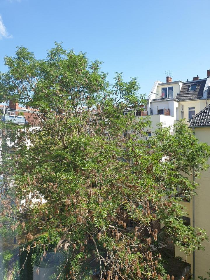 Lichtdurchflutete, vollausgestattete ETW mit 4 Schlafzimmern – Bild 24