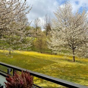 Lichtdurchflutete 3,5-Zimmer-Wohnung mit Panoramablick – teilmöbliert möglich