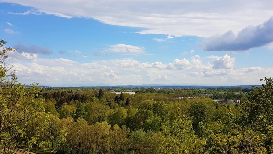 Jugendstilvilla mit Garten und Weitblick – Bild 7