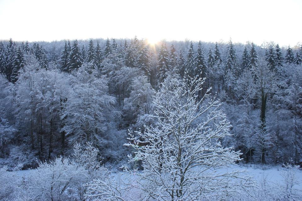 Möblierte 1.5-Zi-Wo mit Balkon und Garten – Bild 12