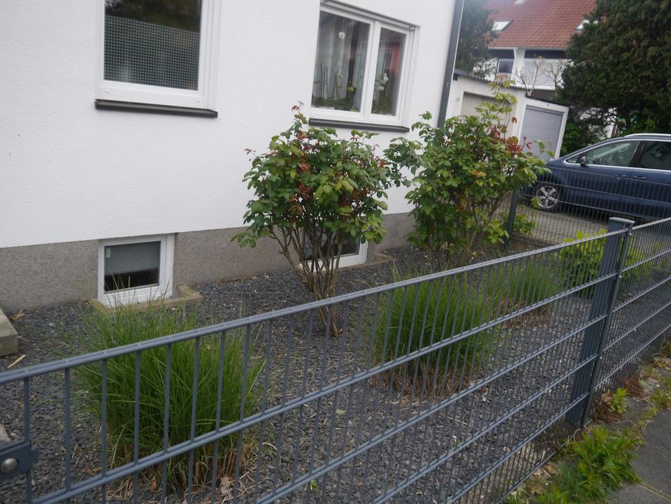 Moderne 3-Raumwohnung in direkter Nachbarschaft zum Marienbergpark – Bild 2