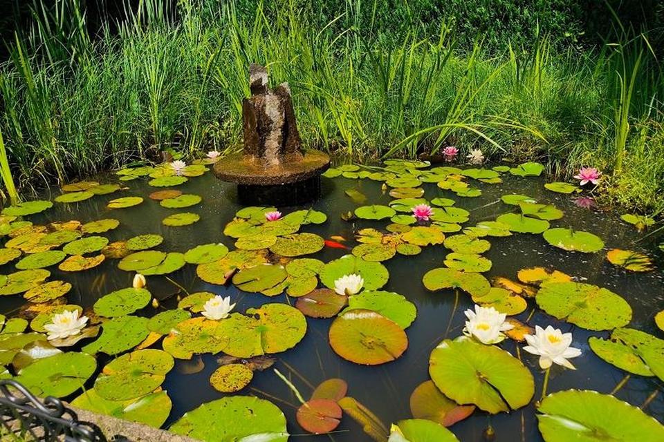Großzügiges Einfamilienhaus mit Einliegerwohnung in toller Lage – Bild 15