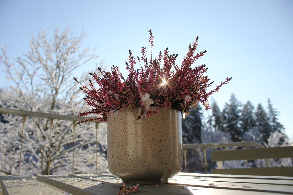 Möblierte 1.5-Zi-Wo mit Balkon und Garten – Bild 9