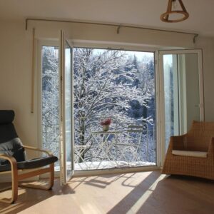 Möblierte 1.5-Zi-Wo mit Balkon und Garten