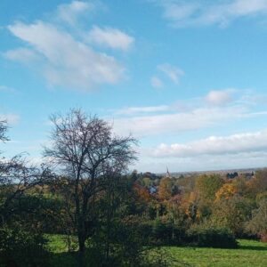 Leben im Rebland - Wohnen auf zwei Ebenen