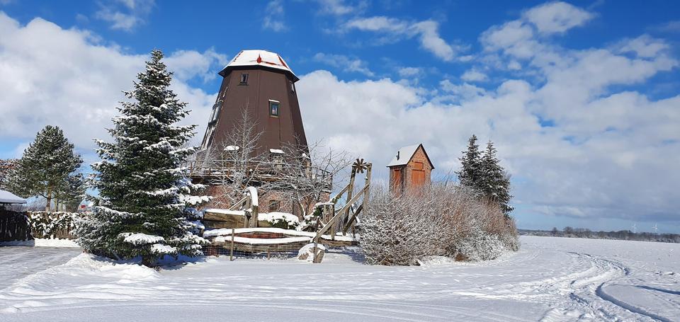 Galerieholländer-Mühle in Vorpommern - Liebhaberobjekt – Bild 2