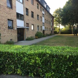 Gepflegte Eigentumswohnung in Timmerlah-Geitelde-Stiddien