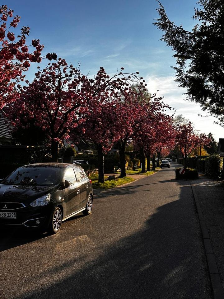 PLZ 22399 Großes Einfamilienhaus in Top Lage in Hamburg Poppenbüttel – Bild 2