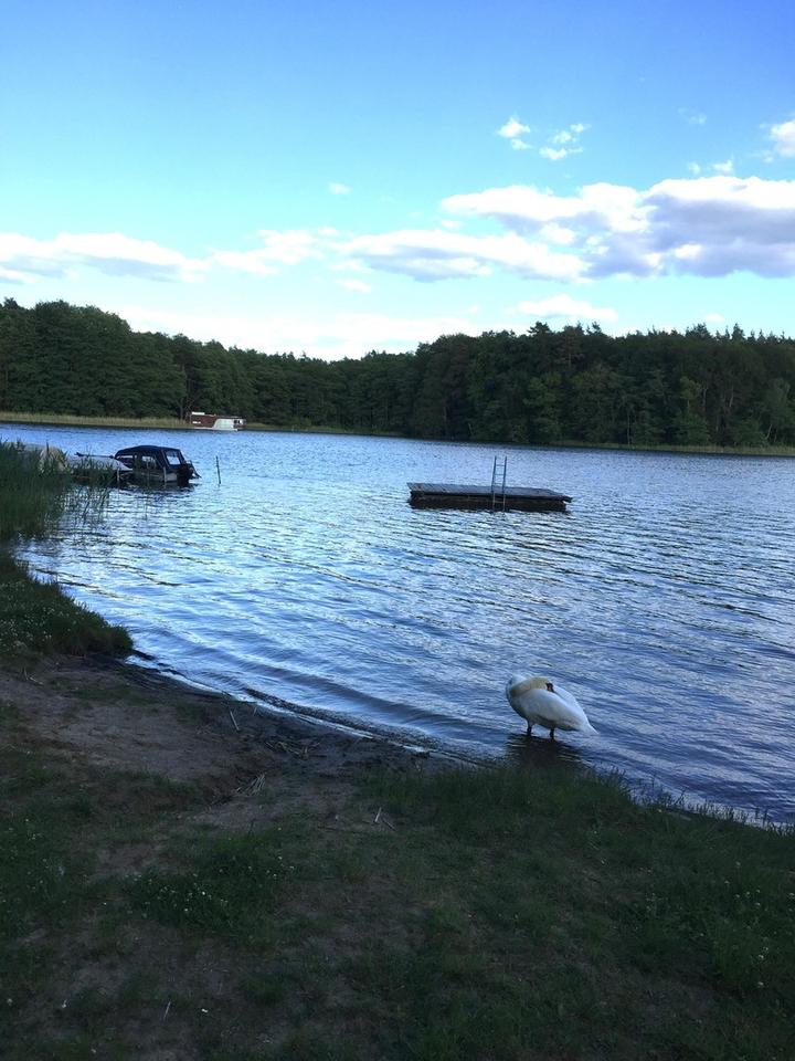 Landhaus Templin OT, provisionsfrei – Bild 11