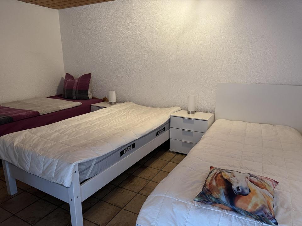 helle Wohnung mit großer Wohnküche, innenliegender Gewölbekeller, möbliert, provisionsfrei – Bild 15