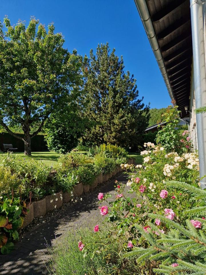 Großzügiges Einfamilienhaus mit Einliegerwohnung in toller Lage – Bild 11