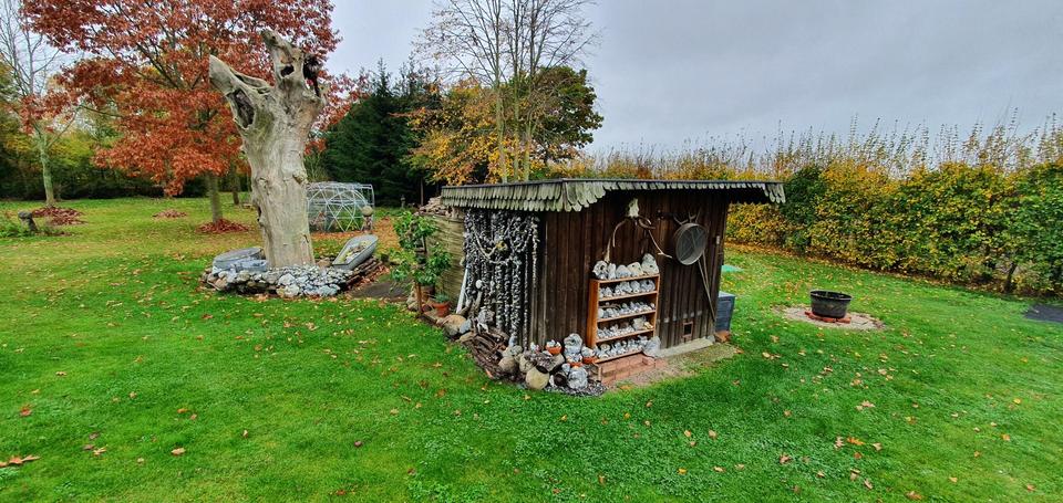 Galerieholländer-Mühle in Vorpommern - Liebhaberobjekt – Bild 4