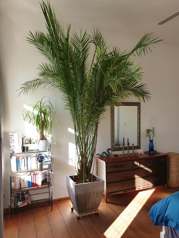 Lichtdurchflutete, vollausgestattete ETW mit 4 Schlafzimmern – Bild 14