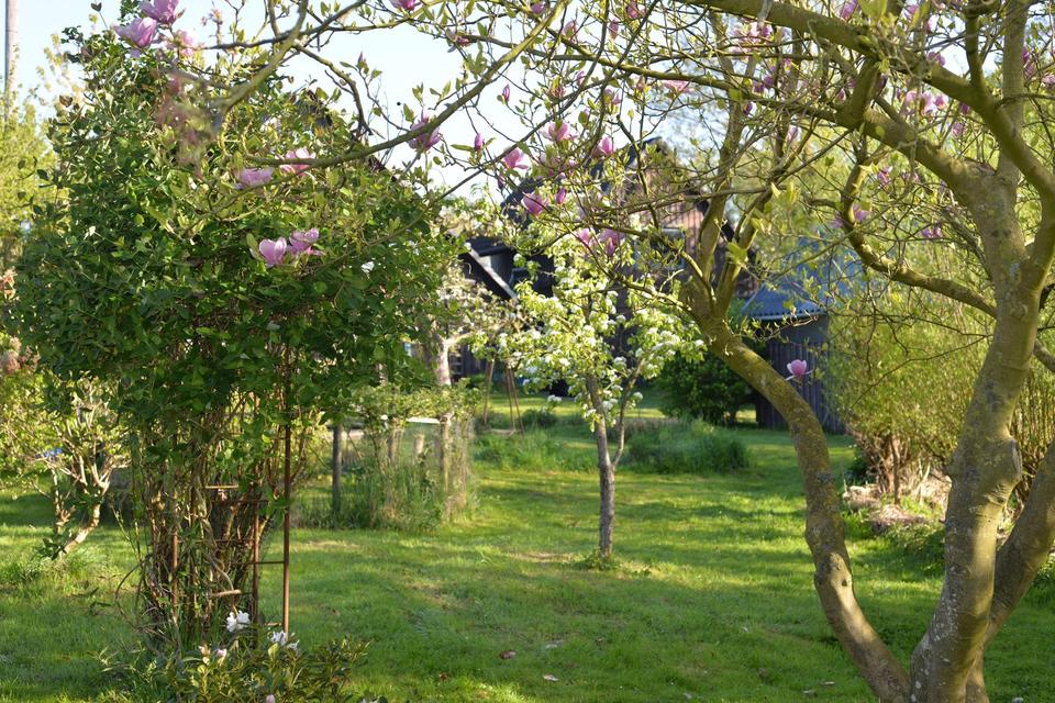 Ökologisch gebautes Holzhaus mit großem Nebengebäude – Bild 9