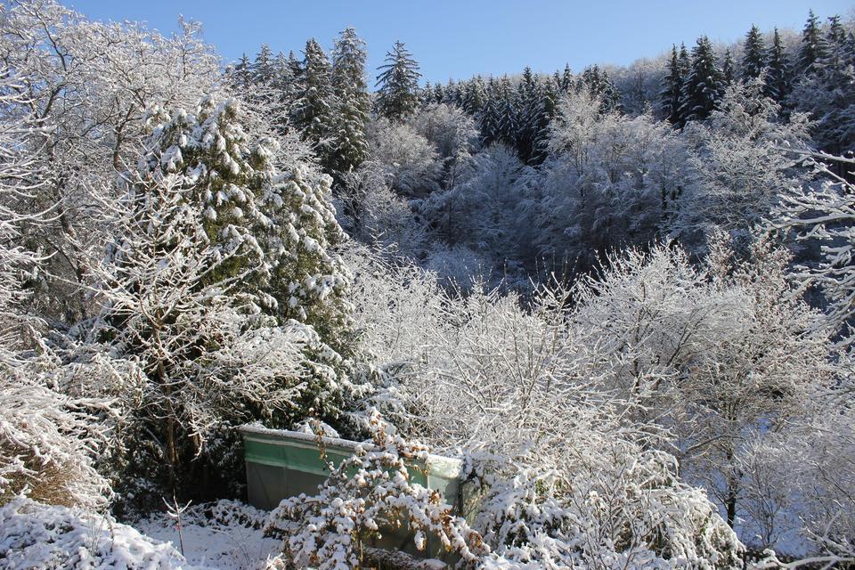 Möblierte 1.5-Zi-Wo mit Balkon und Garten – Bild 10