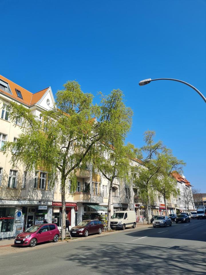 Lichtdurchflutete, vollausgestattete ETW mit 4 Schlafzimmern – Bild 30