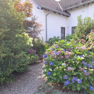 MAKLERFREI_Traumhaftes Einfamilienhaus mit 2 ELW mitten im Grünen