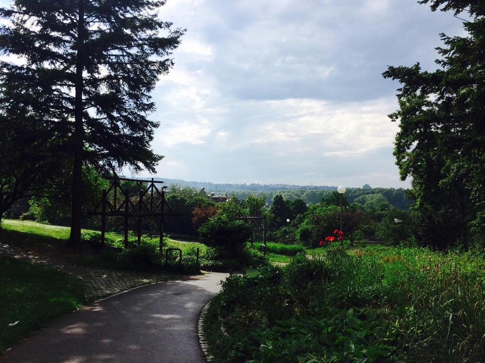 Lichtdurchflutete 3,5-Zimmer-Wohnung mit Panoramablick – teilmöbliert möglich – Bild 14