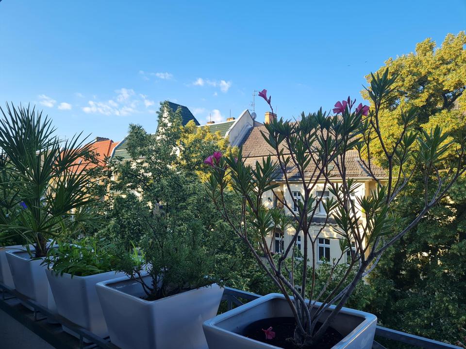 Lichtdurchflutete, vollausgestattete ETW mit 4 Schlafzimmern – Bild 8