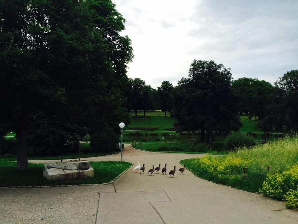 Lichtdurchflutete 3,5-Zimmer-Wohnung mit Panoramablick – teilmöbliert möglich – Bild 13