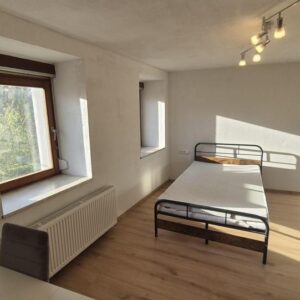 Erstklassiges Investment: Modernisiertes RH in Pforzheim – Langfristiger Blue-Chip-Mieter